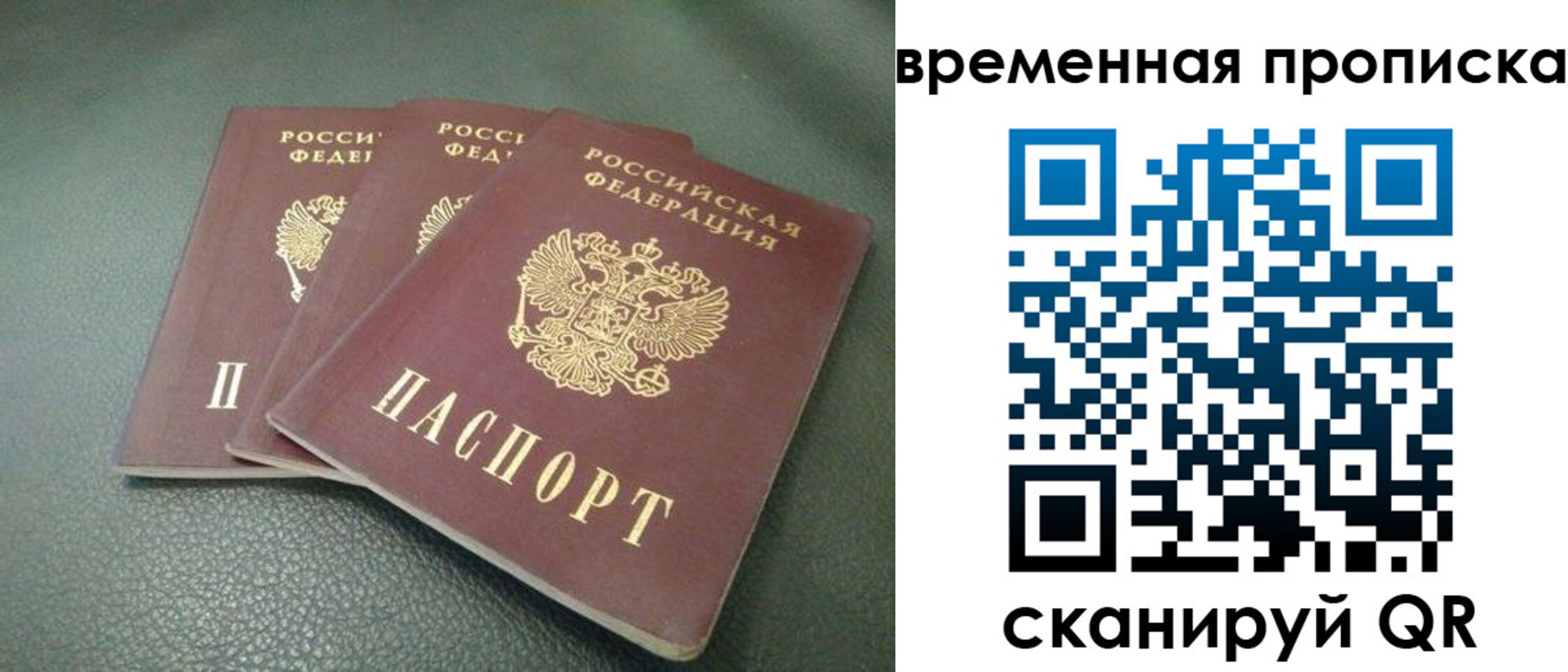 прописка гарантия в Ржеве